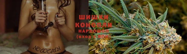 мяу мяу мука Дмитриев
