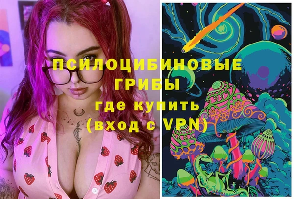 мяу мяу мука Дмитриев