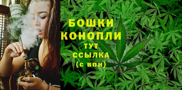 мяу мяу мука Дмитриев