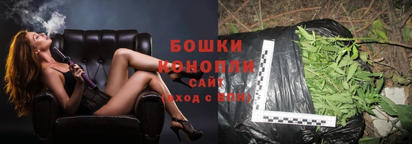 мяу мяу мука Дмитриев